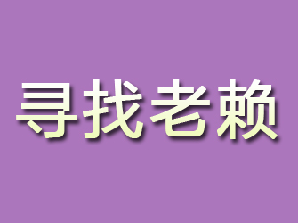 新龙寻找老赖